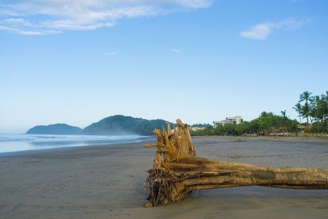 Private Shuttle From San Jose Airport To Jaco Beach Hotels - Why You’ll Love This Experience