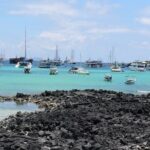 Private Shuttler Baltra Airport to Any Hotel in Santa Cruz - Who Should Consider This Service?