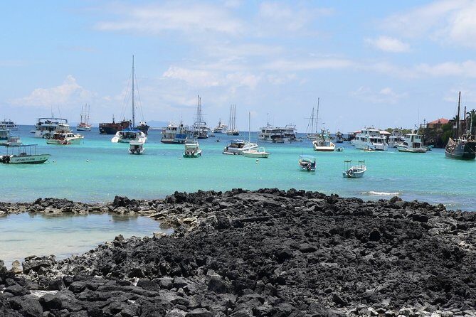 Private Shuttler Baltra Airport to Any Hotel in Santa Cruz - Who Should Consider This Service?