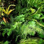 Private Sightseeing Tour in & Around Ocho Rios - Authentic Experiences and Genuine Insights