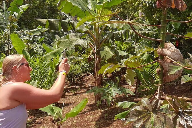 Private Sloth Encounter Waterfall And Corobici Floating Tour - Practical Considerations and Tips