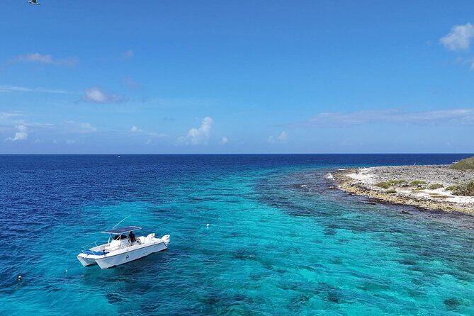 Private Snorkel Tour with Captain and Guide Bonaire Marine Park - Authentic and Knowledgeable Guides: Why They Matter