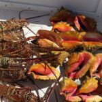 Private Snorkeling And Fishing Activity - Why Choose This Tour?