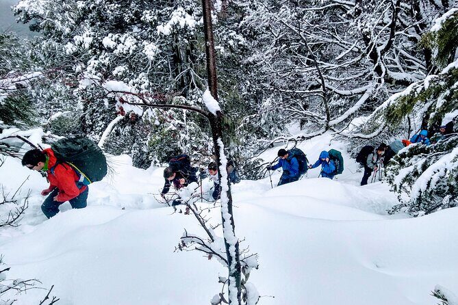 Private Snowshoe Hiking in Bariloche in Winter - An In-Depth Look at Your Bariloche Snowshoe Experience