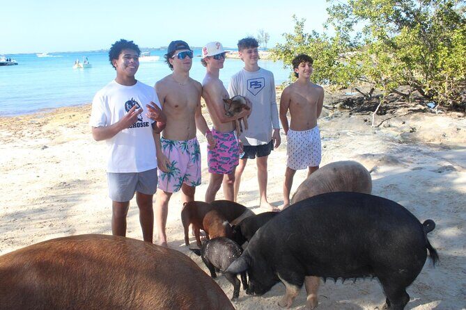 Private speed boat beach and bar hopping visiting Rose island - A Detailed Look at the Experience