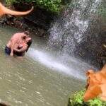 Private St Lucia Cruise Ship Excursion - Who Will Love This Tour?