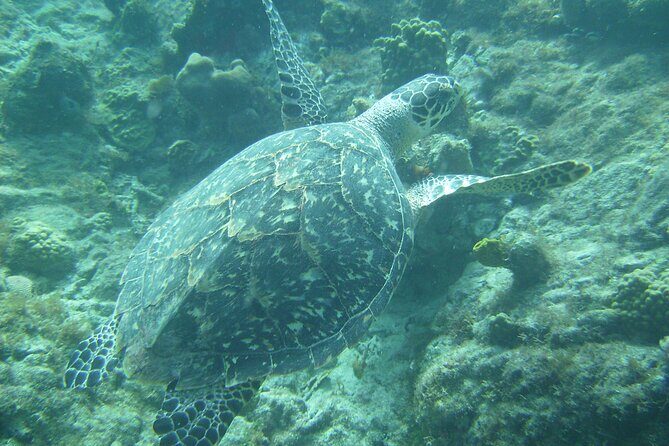 Private St. Maarten Cruise - Hakuna Matata Catamaran - The Price and What You Get