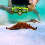 Private Stingray City Snorkeling and BioBay Charter for 6 Guests - Frequently Asked Questions