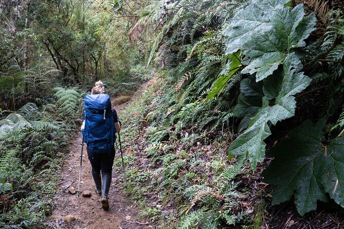 Private Summit of Nevado Tolima 4 Day All Inclusive Hike - The Price and Its Value