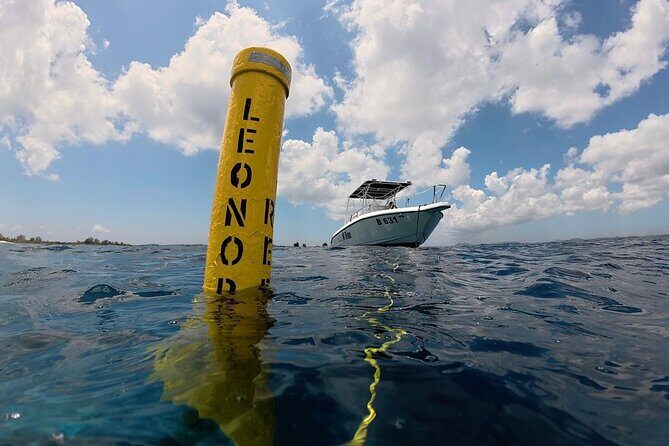Private Sunset Cruise in Bonaire with Snorkeling
