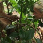 Private Tenorio Rainforest Hanging Bridges and Sloth Encounter - A Deep Dive into the Tour Experience