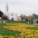Private Tour: 3 hours Buenos Aires Tour - Authenticity and Value