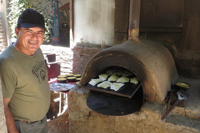 Private Tour: Andes Mountains with Wine Tasting from Santiago - The Culinary and Wine Experience