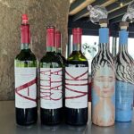 Private Tour at Maturana Wines and VIK winery with Lunch - FAQ