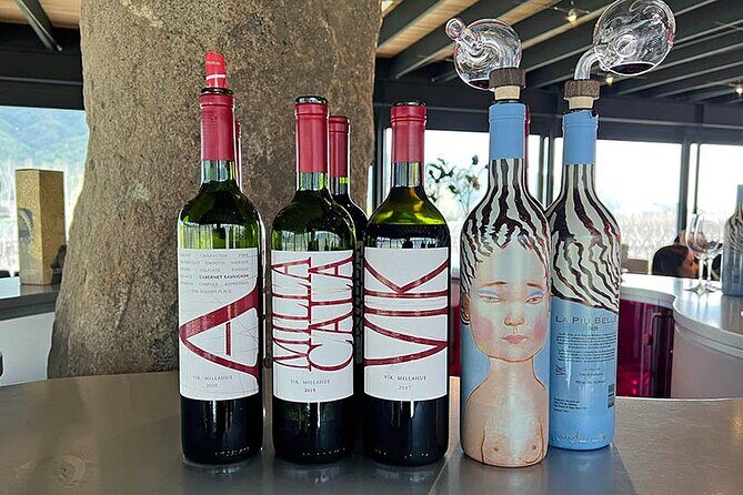 Private Tour at Maturana Wines and VIK winery with Lunch - FAQ