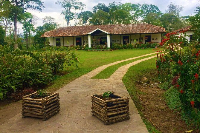 Private Tour - Coffee Tour (Cultivations) - In-Depth Review: Why This Coffee Tour Stands Out