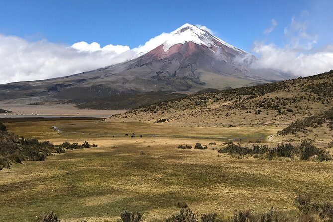 Private Tour Cotopaxi - Possible Drawbacks or Considerations