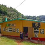 Private Tour Day-Trip Nile mile Bob Marley House With Admission - The Sum Up