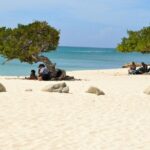 Private Tour: Essential Tour of Aruba - Who Will Love This Tour?