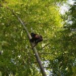 Private Tour: Fishermen and Pacoche Humid Forest Walking Tour - The Experience in Practice