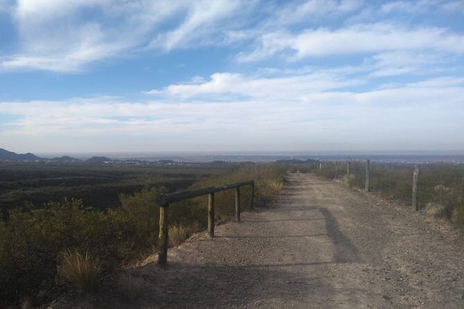 Private Tour from Mendoza to the Divisadero Largo - Why We Think This Tour Offers Good Value