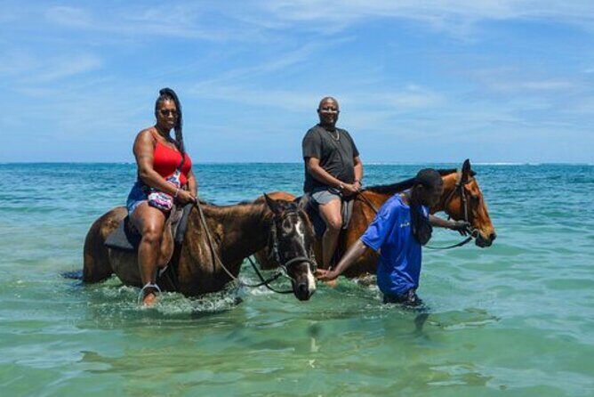 Private Tour from Montego Bay to Horse Back Riding and Bluehole - Who Would Love This Tour?