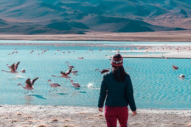 Private tour from San Pedro de Atacama Chile to the Salar de Uyuni - Authentic Experiences and Practical Tips