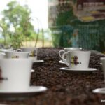 Private Tour in an Authentic, Ecological Local Coffee Finca. - Practical Details and Tips