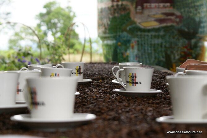 Private Tour in an Authentic, Ecological Local Coffee Finca. - Practical Details and Tips