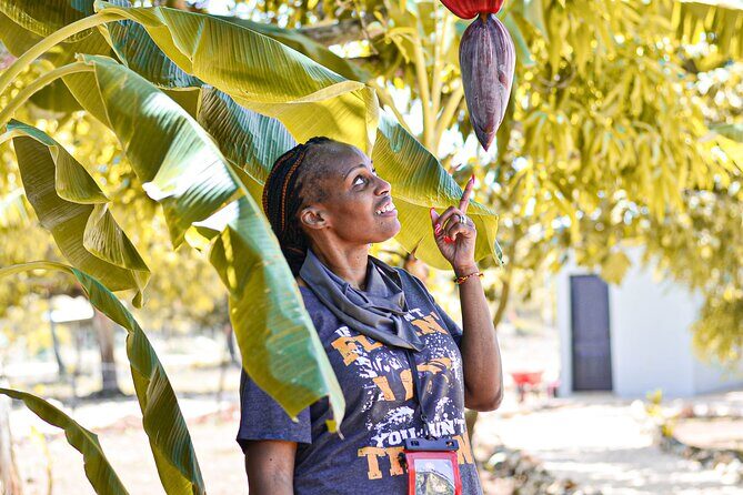 Private Tour in Buggy Punta Cana : Caves, Beaches and Organic Estate - Final Thoughts: Is It Worth It?