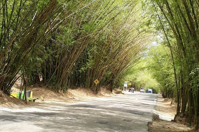 Private Tour in Dunns River Falls - Detailed Breakdown of the Tour Experience