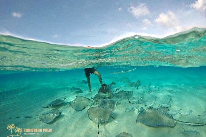 Private Tour in luxury BOAT over the sea of 7 colors - Final Thoughts: Is This the Right Tour for You?