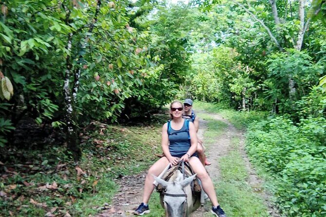 Private Tour in Miches with La Jarda Waterfall Experience - Final Thoughts: Is It Worth It?