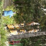 PRIVATE TOUR: La Cumbrecita & Villa Gral. Belgrano - Who Would Love This Tour?