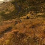 Private Tour - La India Dormida Trail - Who Should Consider This Tour?