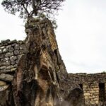 Private Tour Machu Picchu Full day - A Deep Dive into the Machu Picchu Full-Day Private Tour