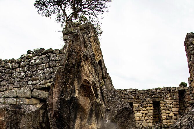 Private Tour Machu Picchu Full day - A Deep Dive into the Machu Picchu Full-Day Private Tour