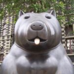 Private tour: Medellin City  Pablo Escobar and Food Tour - Who Should Consider This Tour?