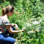 Private tour: Medellin's Flower Culture & The Silletero Tradition of Santa Elena - The Sum Up: Why This Tour Matters