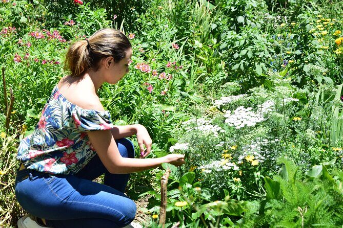 Private tour: Medellin's Flower Culture & The Silletero Tradition of Santa Elena - The Sum Up: Why This Tour Matters