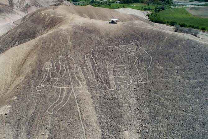 Private Tour Miradores Palpa Nazca with Nazca Lines Overflight - Why This Tour Offers Great Value
