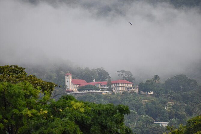 Private Tour North Coast Mountain Tour & Maracas Beach - The Practical Aspects