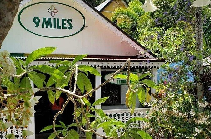 Private Tour of Bob Marley Nine Miles from Montego Bay - Authentic Insights from Reviewers