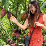 Private Tour of Chocolate Plantation and Processing - An In-Depth Look at the Chocolate Tour Experience