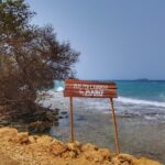 Private Tour of Ecotourism, Culture and Sea in Barú - Who Will Love This Tour?