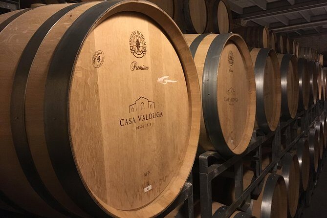 Private Tour of Family Wineries in Bento Gonçalves RS - The Sum Up