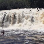 Private Tour of Iracema and Asframa Waterfalls in Manaus - Discovering the Waterfalls & Amazon Fauna
