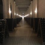 Private Tour of the Largest Wineries in Bento Gonçalves RS - Who Will Love This Experience?