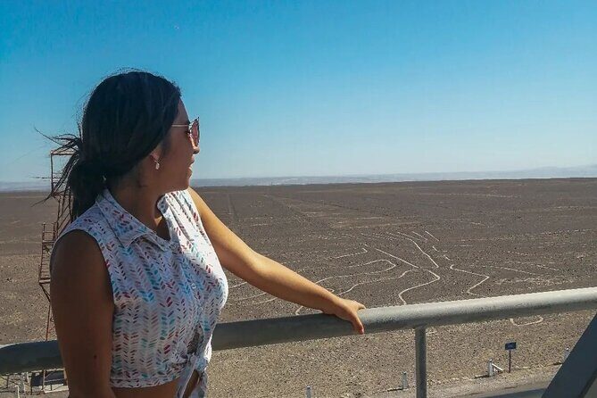 Private Tour of the Nazca Lines from Ica - Who Is This Tour Best For?
