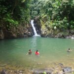 Private Tour Paria Waterfall from Port of Spain - Analyzing the Experience and Its Value